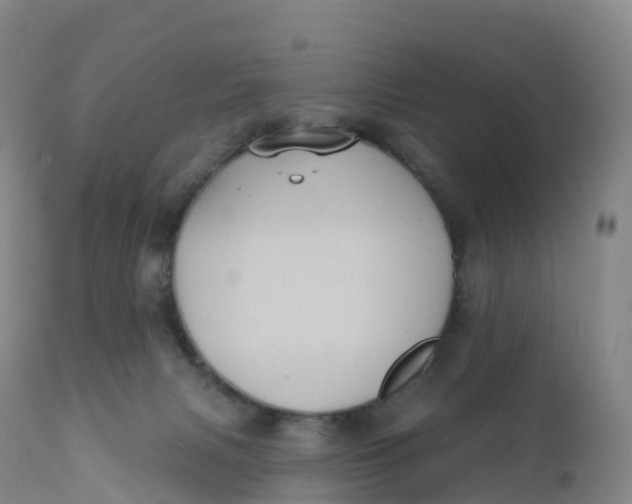 X0000111830079200908131556