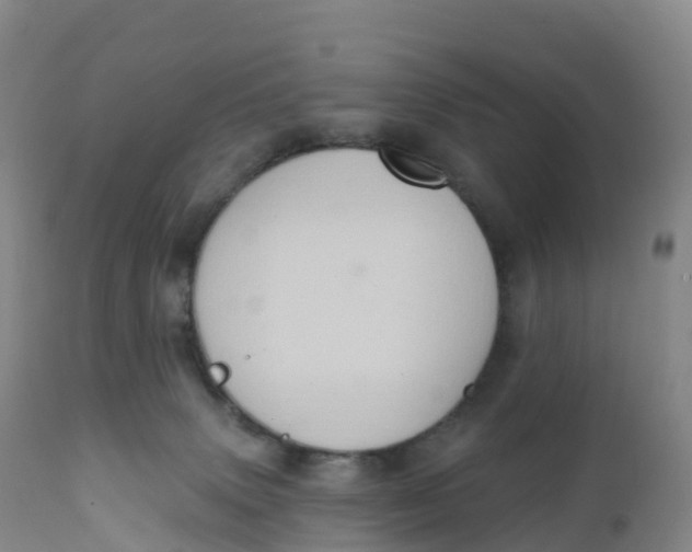 X0000111830083200908131556