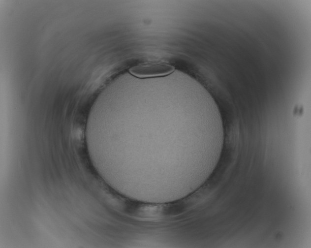 X0000111830084200908131556