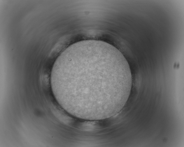 X0000111830086200908131556