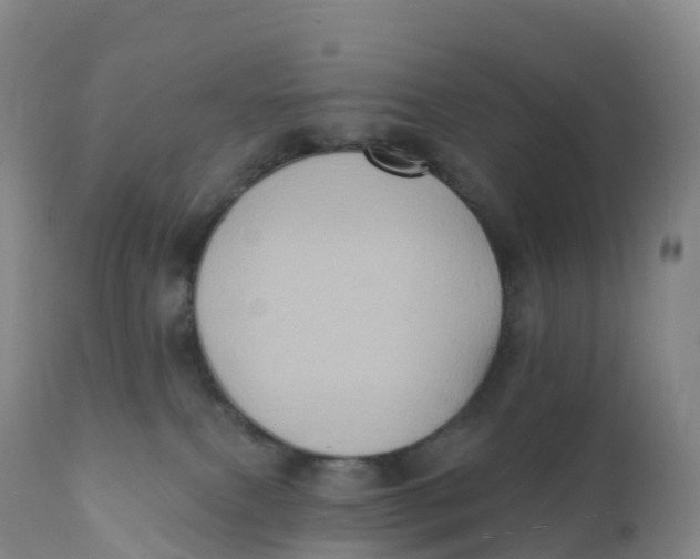 X0000111830087200908131556