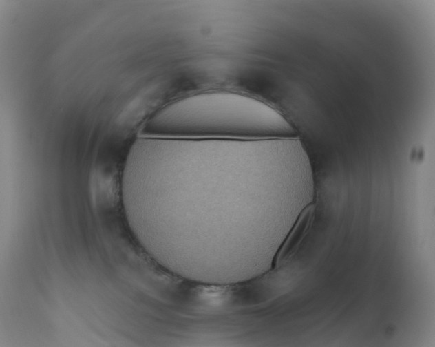 X0000111830088200908131556