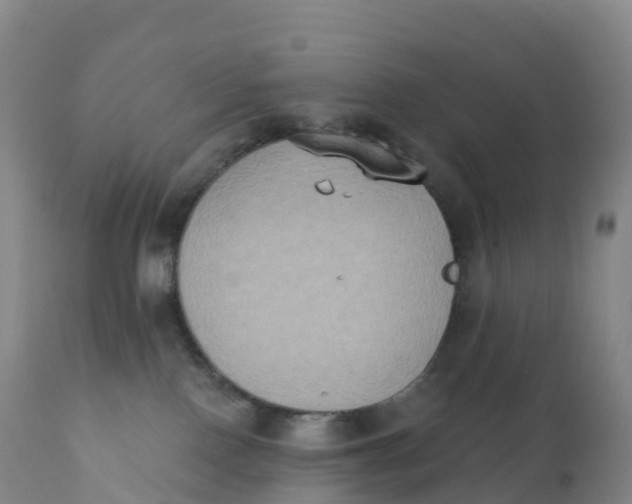 X0000111830090200908131556