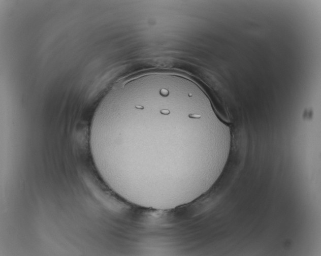 X0000111830092200908131556