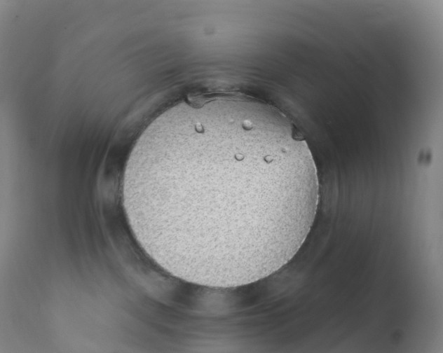 X0000111830093200908131556