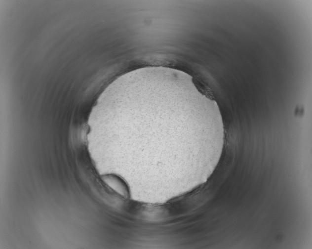 X0000111830095200908131557