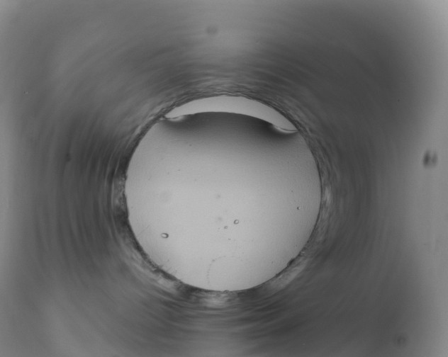 X0000111830096200908131557