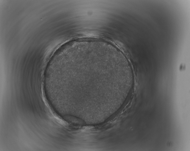 X0000111830097200908131556