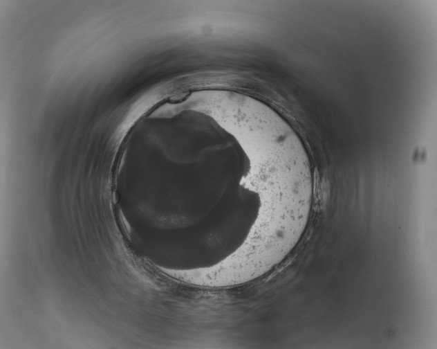 X0000111830099200908131555