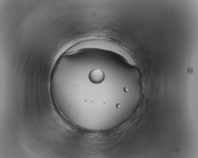 X0000111830100200908131555