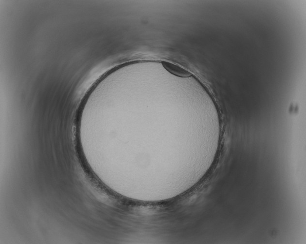 X0000111830103200908131555