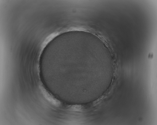 X0000111830104200908131555