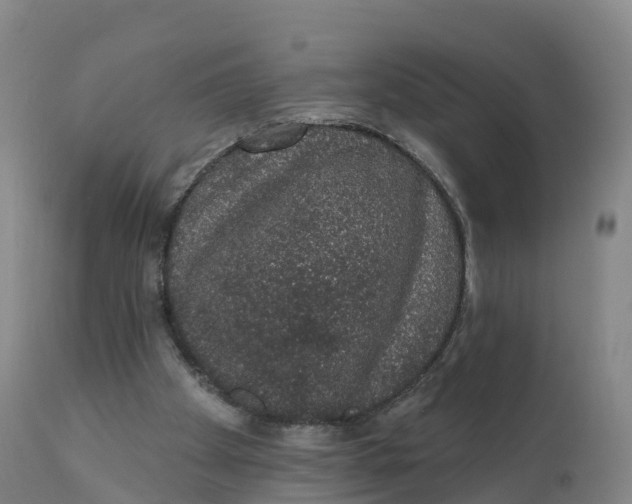 X0000111830105200908131555