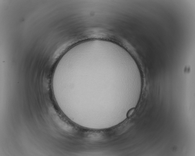 X0000111830106200908131555