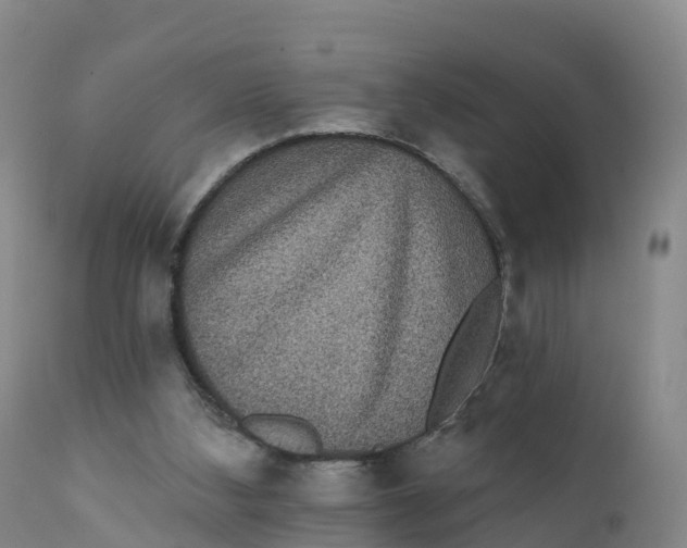 X0000111830108200908131555