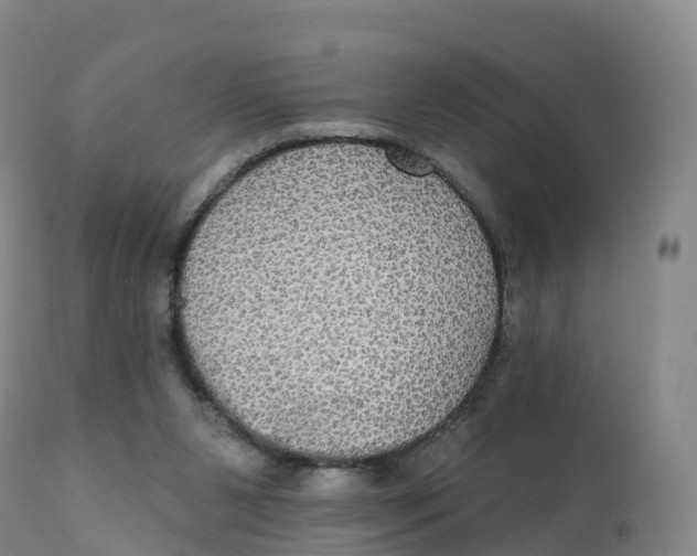 X0000111830111200908131555