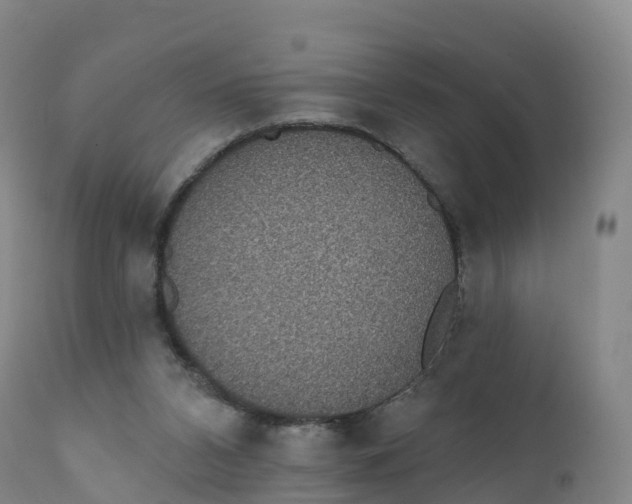 X0000111830112200908131555