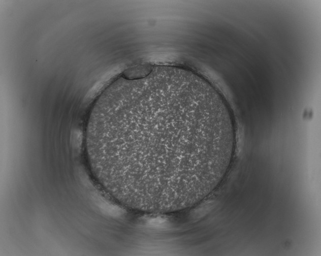 X0000111830113200908131555