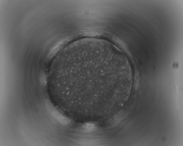 X0000111830114200908131555