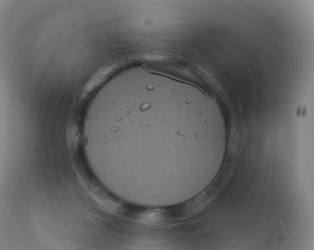 X0000111830116200908131555