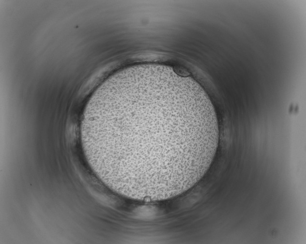 X0000111830119200908131555