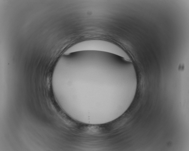 X0000111830121200908131555