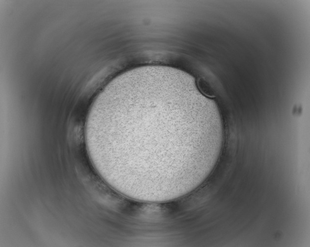 X0000111830123200908131555