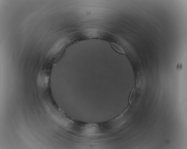 X0000111830124200908131555