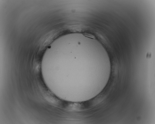 X0000111830125200908131555