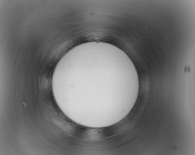 X0000111830126200908131555