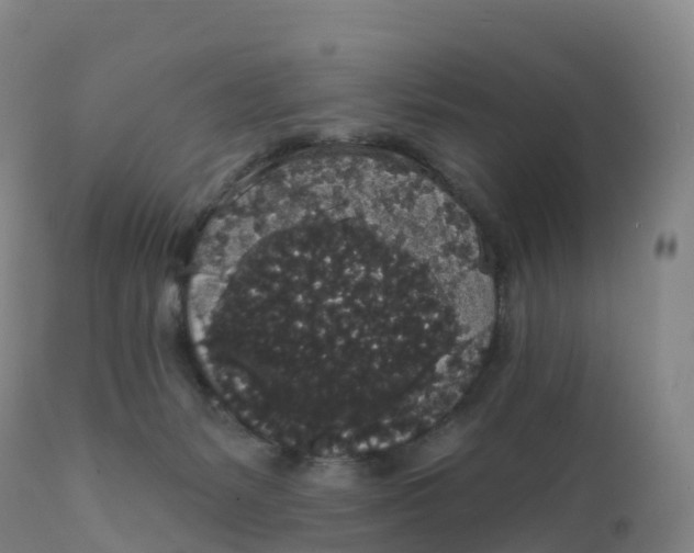 X0000111830127200908131555