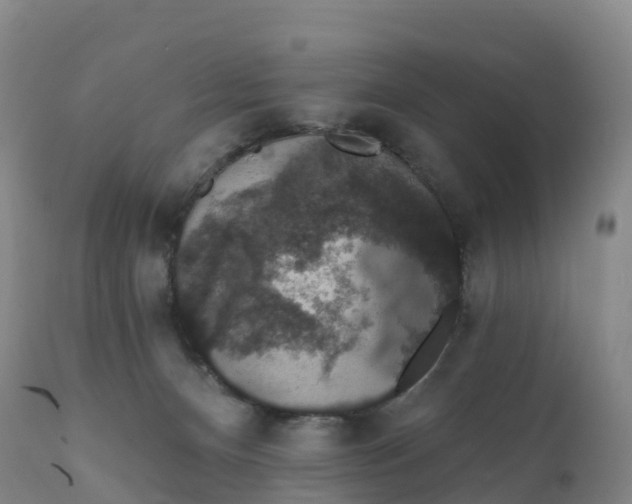 X0000111830128200908131555