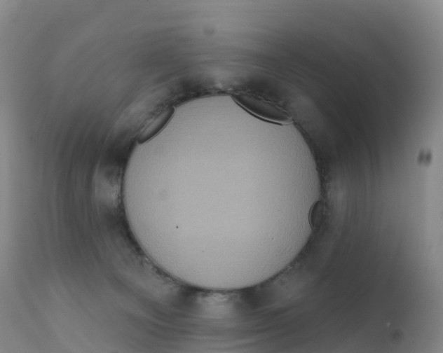 X0000111830129200908131555