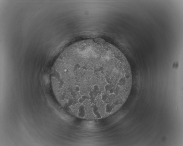 X0000111830131200908131555