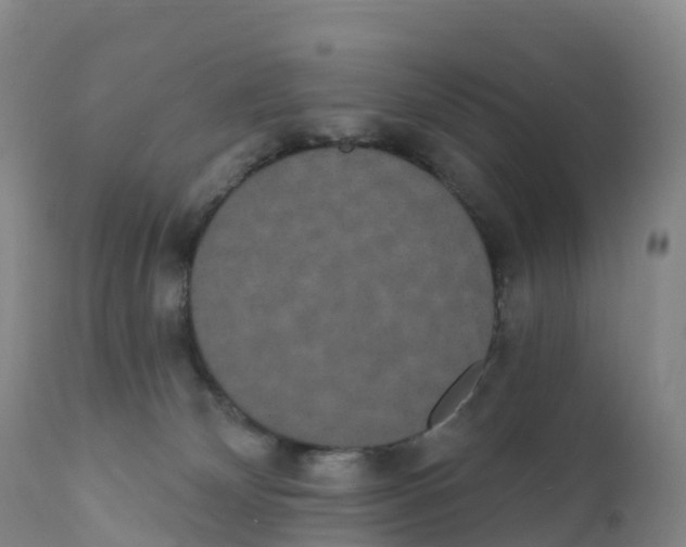 X0000111830132200908131555