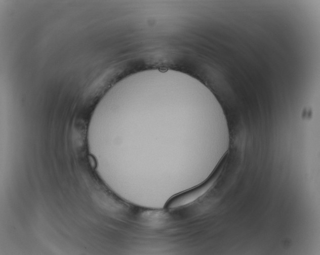 X0000111830133200908131555