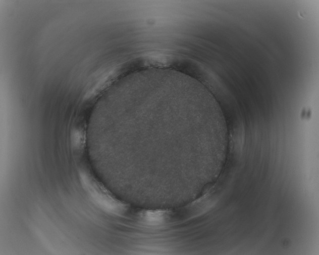 X0000111830134200908131555