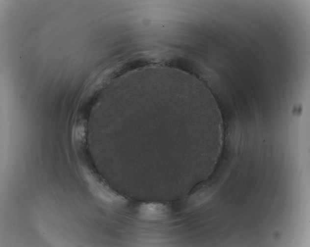 X0000111830137200908131555