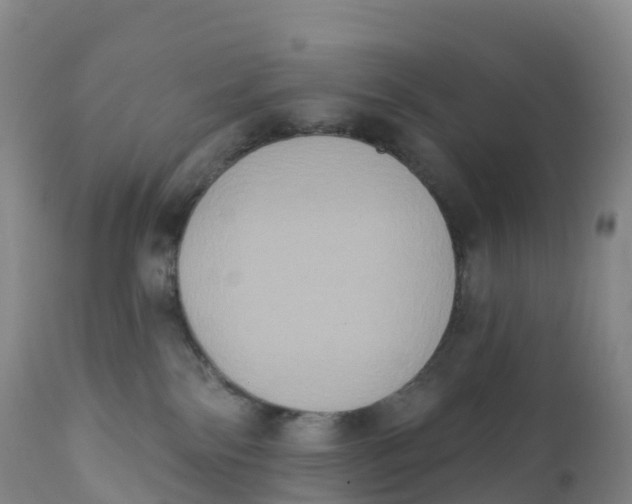 X0000111830138200908131555