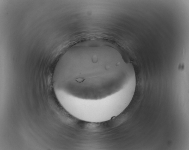 X0000111830139200908131555