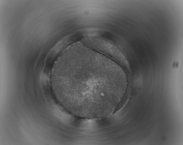 X0000111830140200908131555