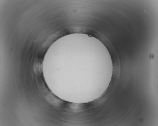 X0000111830142200908131555