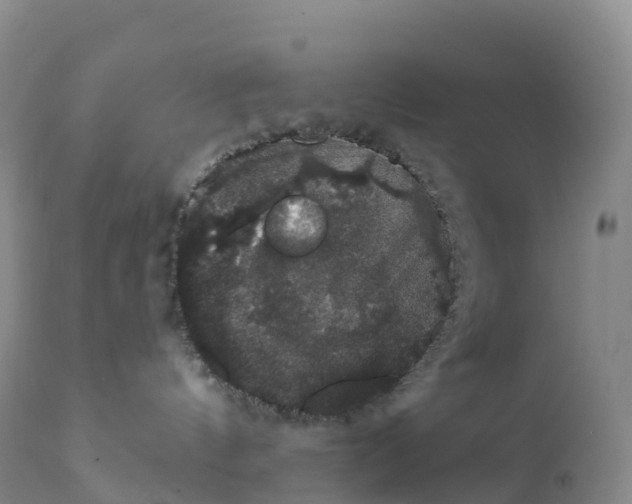 X0000111830144200908131555