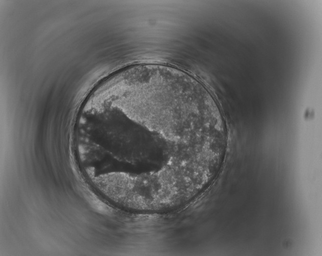 X0000111830145200908131554