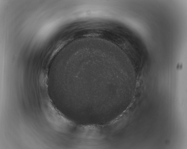 X0000111830146200908131554