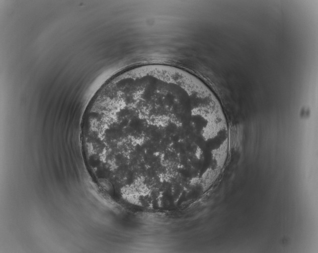 X0000111830147200908131554