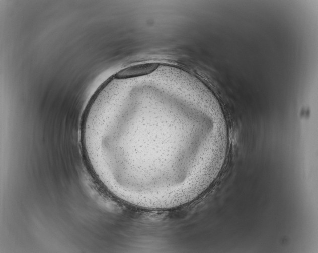 X0000111830148200908131554