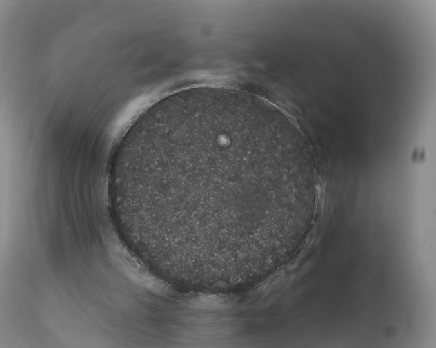 X0000111830149200908131554