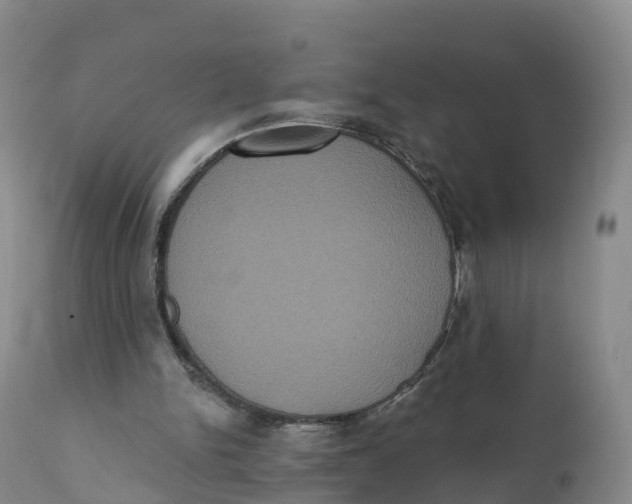 X0000111830150200908131554