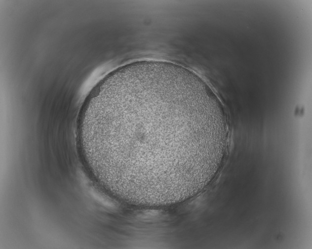 X0000111830151200908131554